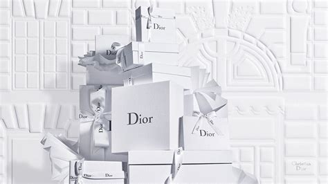 christian dior have a web site|official site Christian Dior.